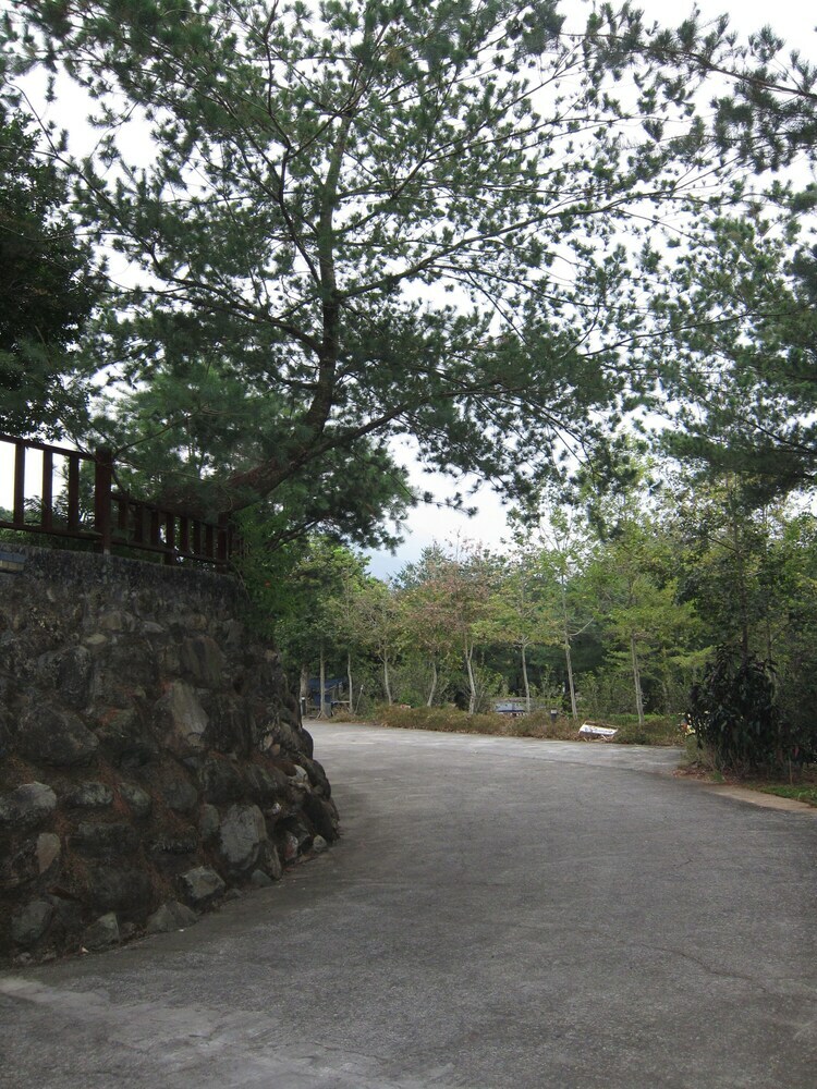 Hotel Zen And Pine Resort