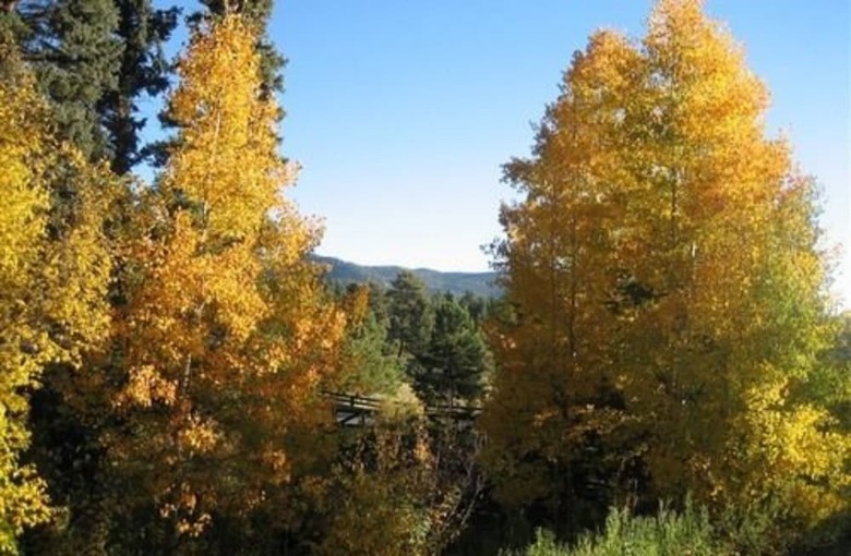 Bed & Breakfast Meadow Creek Mountain Lodge And Event Center