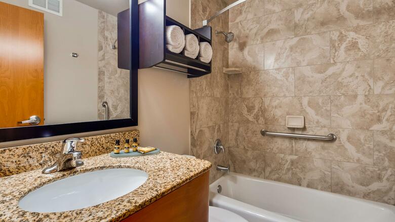 Best Western Plus Hyde Park Chicago Hotel