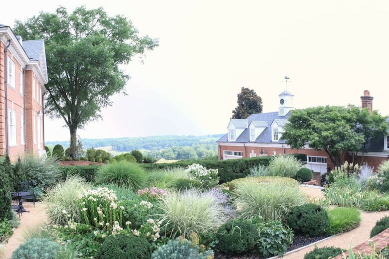 Hotel Albemarle Estate At Trump Winery