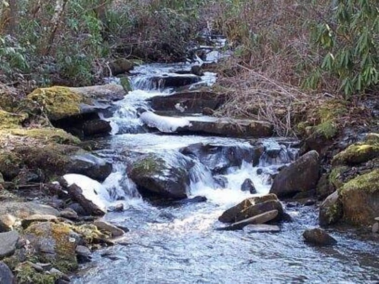 Creekside Paradise Bed And Breakfast