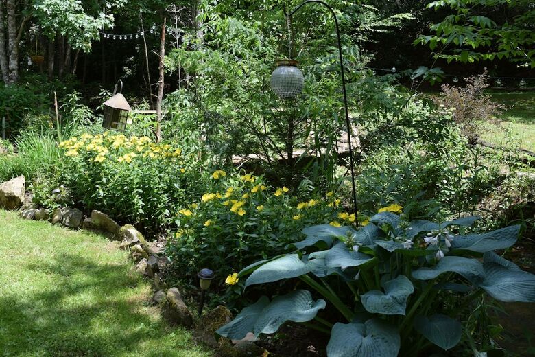 Creekside Paradise Bed And Breakfast
