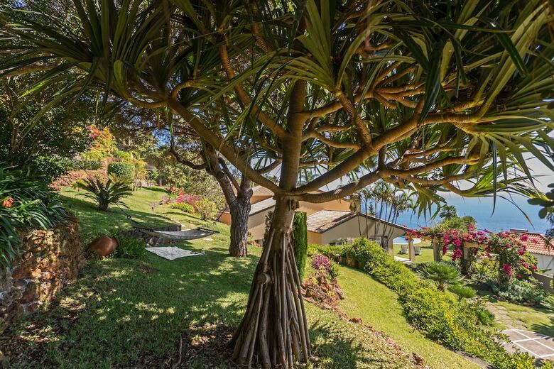 Villa Vila Eucalipto By An Island Apart