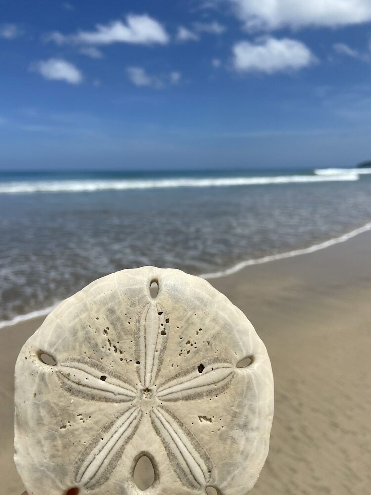 Hotel Villas Kalei