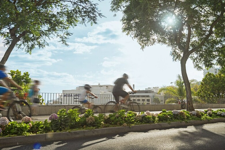 Amparo I By An Island Apart