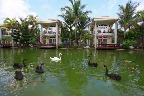Hotel Swan Lake Villa Resort