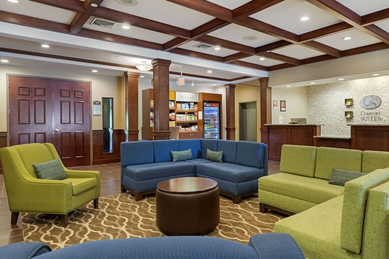 Hotel Comfort Suites Grand Rapids North