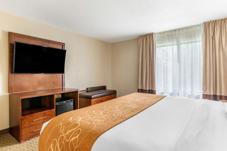 Hotel Comfort Suites Grand Rapids North