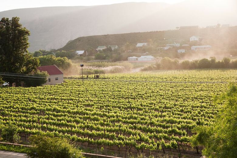 Hotel The Queen Of Calitzdorp