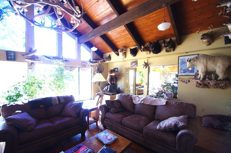 Posada Whitebird Summit Lodge