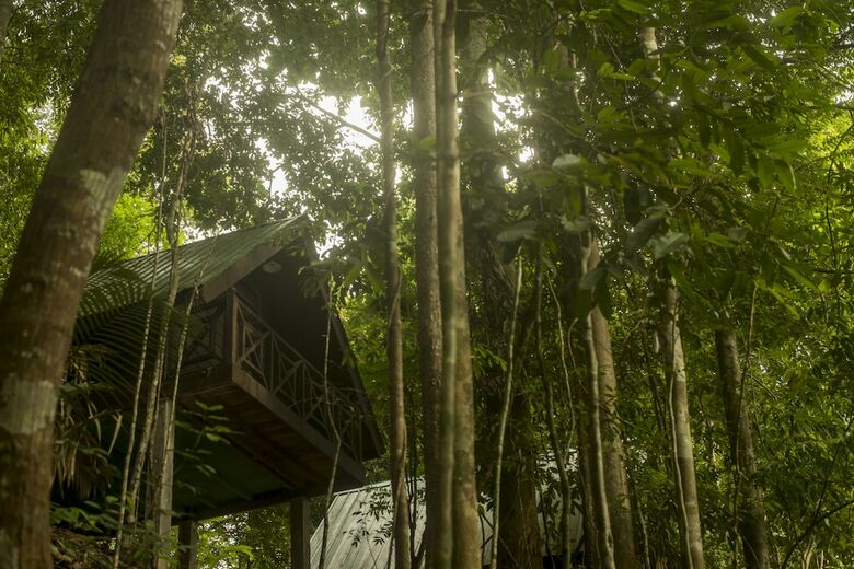 Hostal Belum Adventure Camp