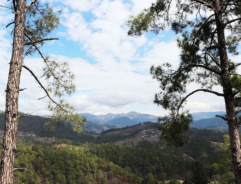 Hotel Shivalik River Retreat