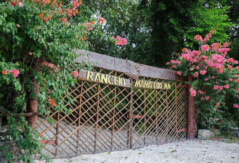 Posada Rotamundos Mama Loo.mm
