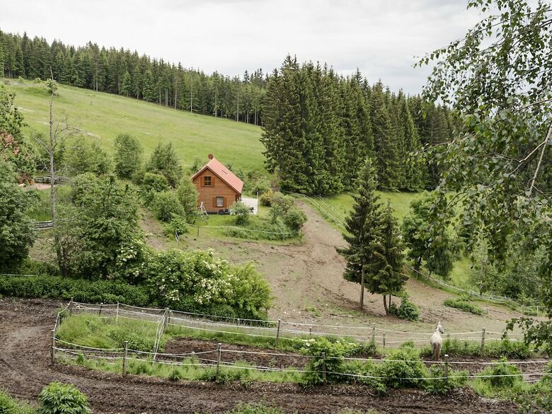 Attractive Apartment In Forest In Liebenfels With Garden