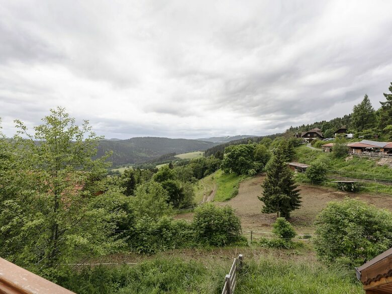 Attractive Apartment In Forest In Liebenfels With Garden