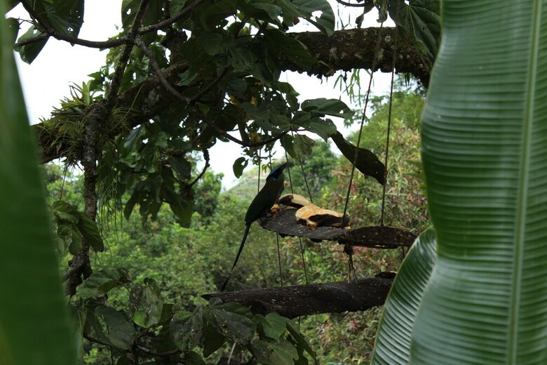 Hotel Otrolado Lodge