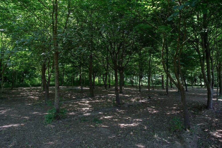 Agroturismo Casolare La Quercia