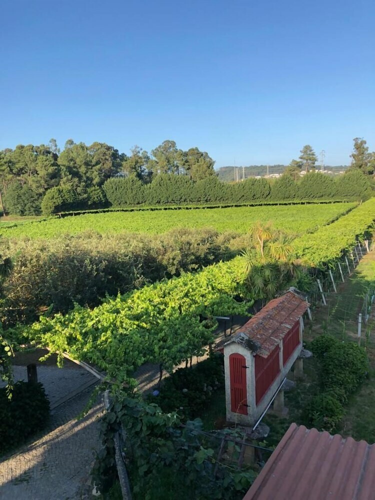 Bed & Breakfast Quinta de Maderne