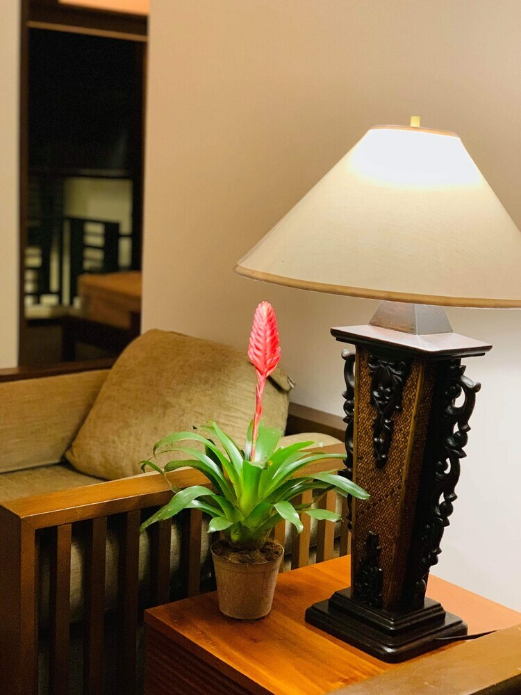 Hotel Baliraya
