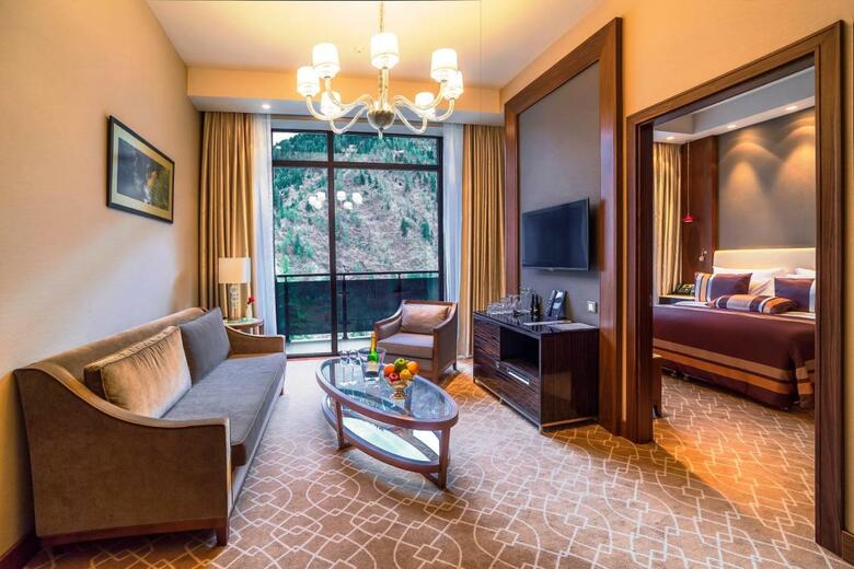 Hotel Borjomi Likani Health & Spa Centre