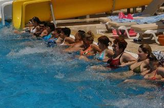 Hotel Royal Palm Resort