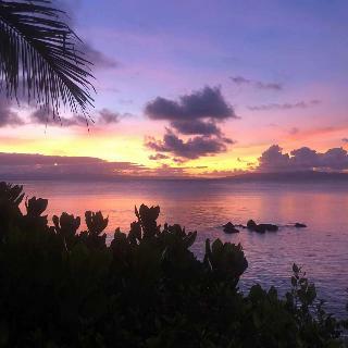 Hotel Taveuni Palms Resort