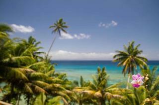 Hotel Taveuni Palms Resort