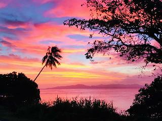 Hotel Taveuni Palms Resort