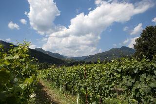Hotel Podere Castel Merlo Relais