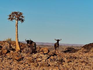 Tutwa Desert Lodge