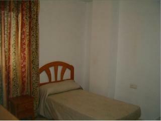 Apartment In Malaga 100712