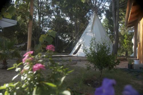 Bed & Breakfast La Atrevida