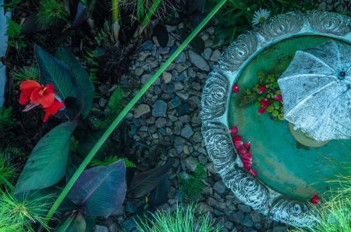 Bed & Breakfast La Atrevida