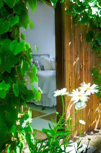 Bed & Breakfast La Atrevida