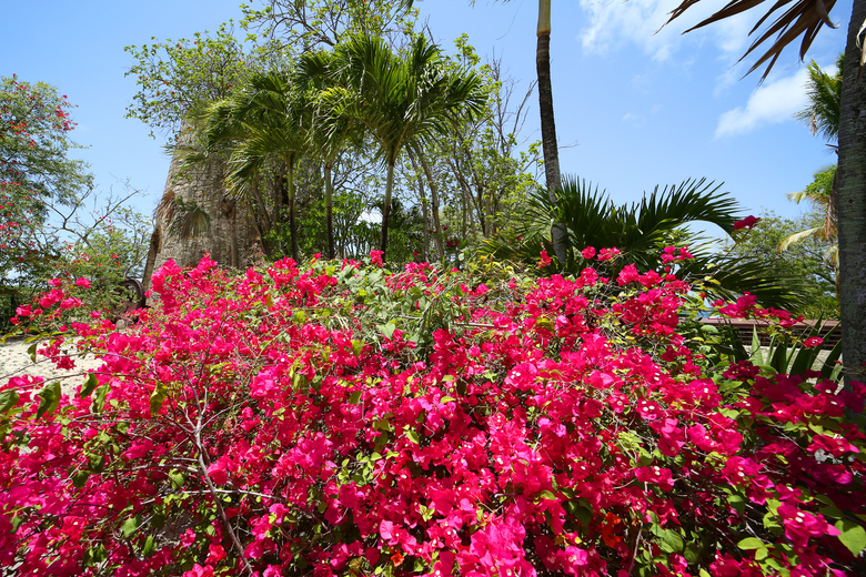 Hotel Boutique The Great House Antigua