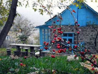 Bed & Breakfast Toon Armeni