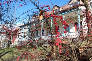 Bed & Breakfast Toon Armeni