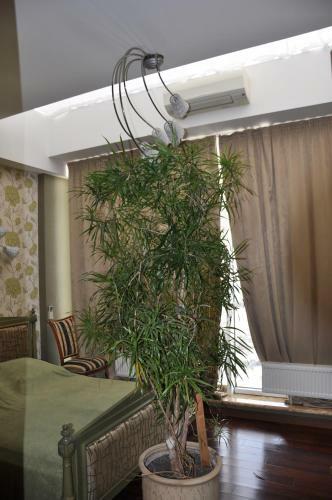 Arcadia Palace Apartments With Sea View