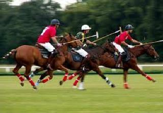 Hotel Hurlingham Club