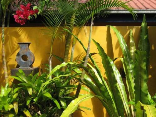 Hotel Pink Flamingo Resort