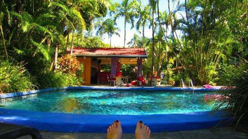 Hotel Pink Flamingo Resort