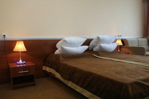 Intourist-zakarpatye Hotel