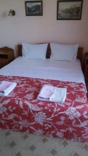 Hostal Adonis