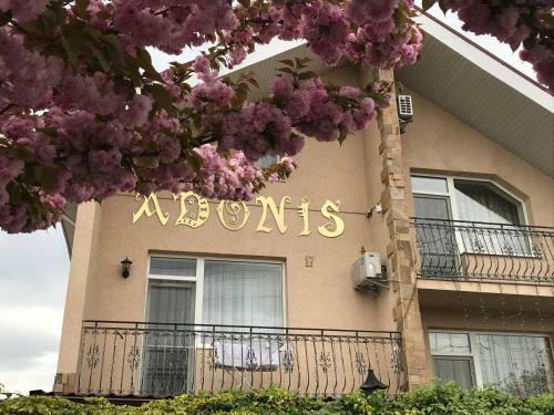 Hostal Adonis