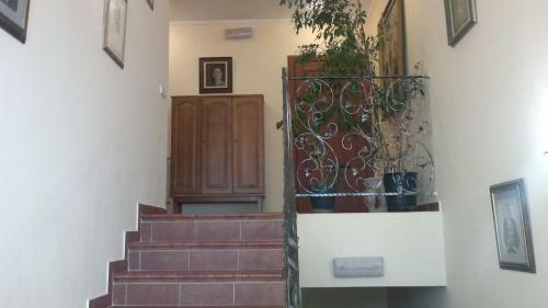 Hostal Adonis