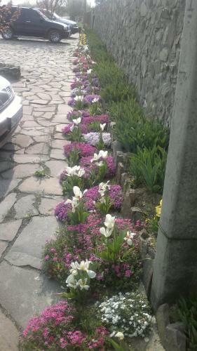 Hostal Adonis
