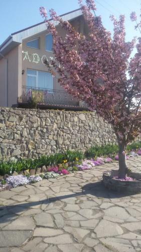 Hostal Adonis