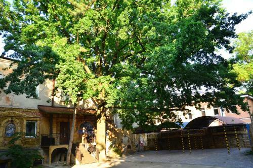 Apartamento Tihaya Gavan