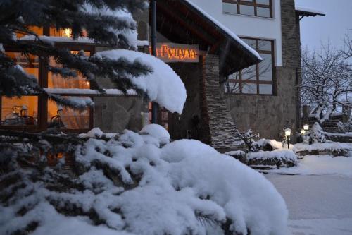 Hotel Guzul's House