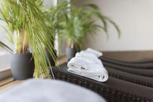 Hotel H�tel Des Alpes